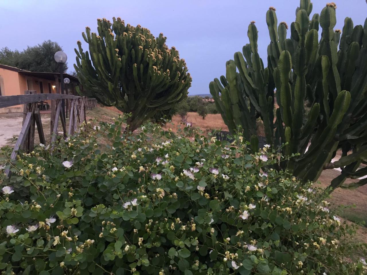 Agriturismo Saccollino San Paolo  Eksteriør bilde