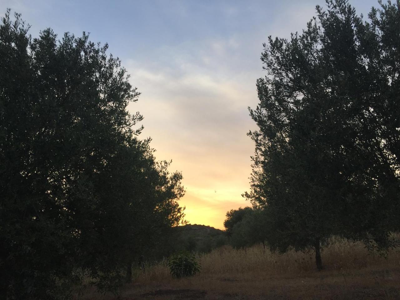 Agriturismo Saccollino San Paolo  Eksteriør bilde