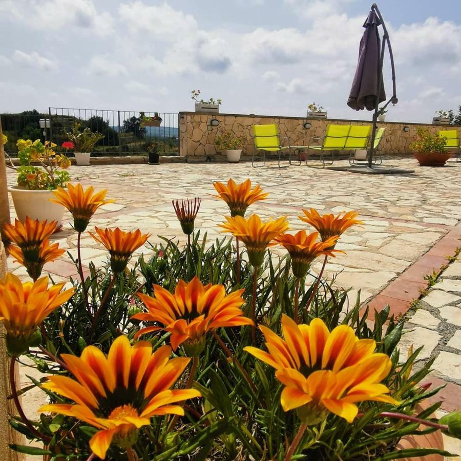 Agriturismo Saccollino San Paolo  Eksteriør bilde