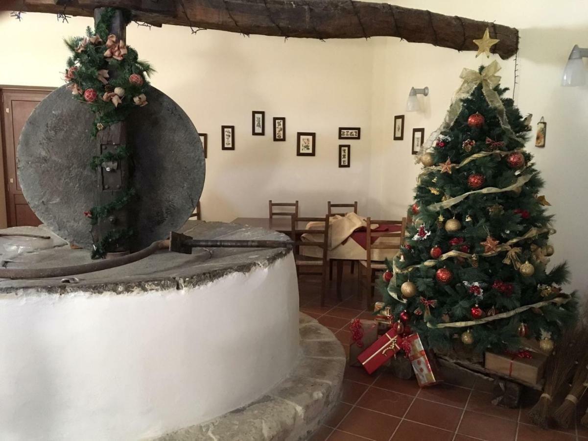 Agriturismo Saccollino San Paolo  Eksteriør bilde