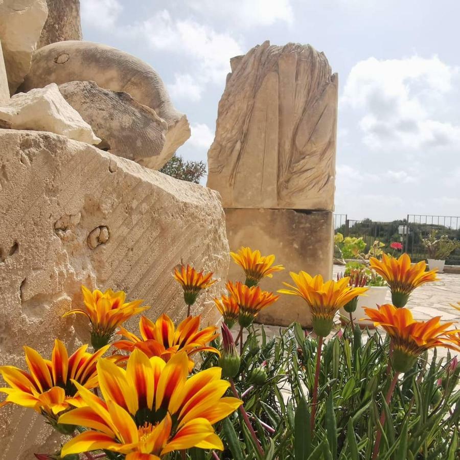 Agriturismo Saccollino San Paolo  Eksteriør bilde